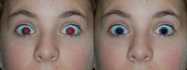 Smart Photo Studio Suite for Windows | Digital Image Editing Software DVD-ROM