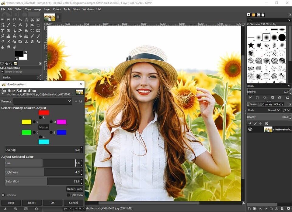 GIMP PRO Photo Editing Software for Windows & MAC - w/ Photo shop Guide on DVD