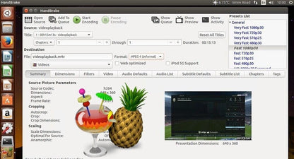 HandBrake Software for Windows - DVD Ripper Video Converter Transcoder
