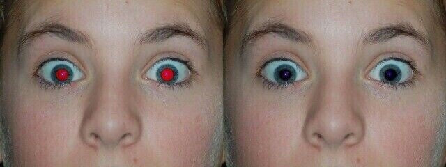 GIMP 2024 Photo Editing Software - Graphic Design, Image Enhancement & More CD