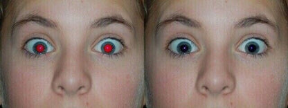 GIMP 2024 Photo Editing Software - Graphic Design, Image Enhancement & More CD