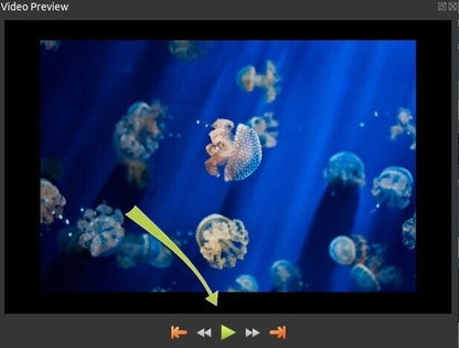 Open Shot Video Editor 2023 | Full Pro Video Editing Software Suite USB for MAC