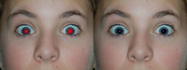 GIMP 3 (2025 Edition) Pro Graphic Design - Photo Editing Software Program on CD