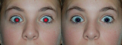 GIMP 3 (2025 Edition) Pro Graphic Design - Photo Editing Software Program on CD