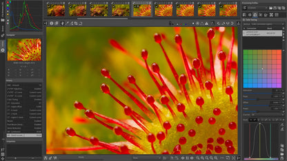 Raw Therapee Photo Editing Software, RAW Image Editor for Windows on CD-ROM