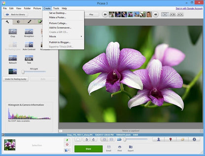 Picasa 3.9 Photo Editing & Management Software for Windows Picture Album Manager