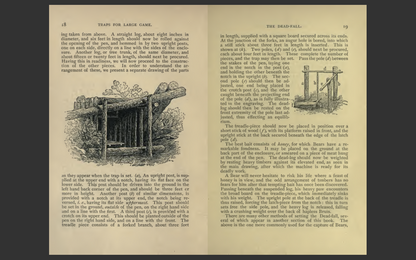 Camp Life in the Woods and the Tricks of Trapping and Trap Making -E-Book