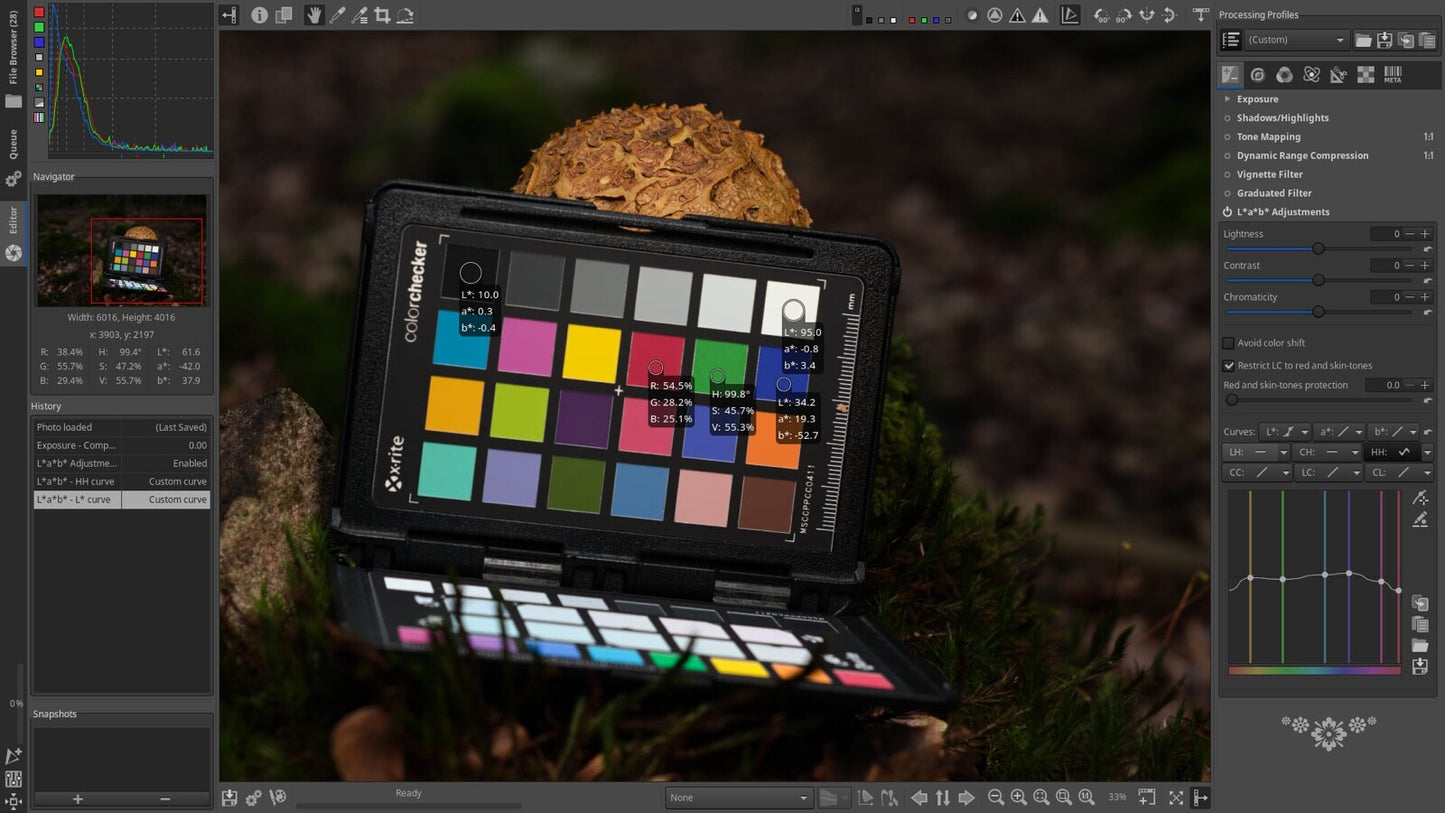 Raw Therapee Photo Editing Software, RAW Image Editor for Windows on CD-ROM