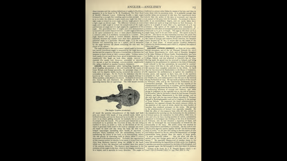 Encyclopedia Britannica 11th & 12th Edition - 32 Volume PDF E-Book set