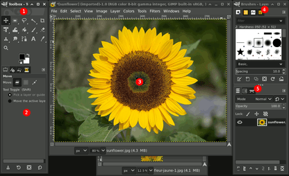 GIMP PRO Photo Graphic Design Image Editing Software for Windows (w/ Photo shop Guide) on CD