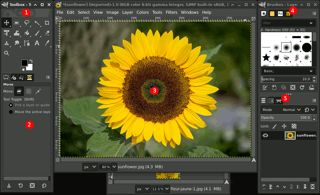 GIMP 2024 Photo Editing Software - Graphic Design, Image Enhancement & More CD