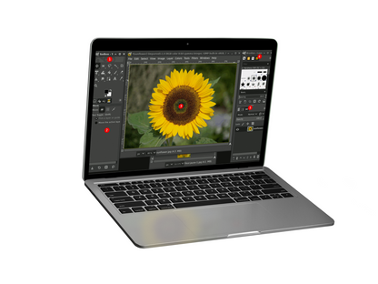 GIMP 3 (2025 Edition) Pro Graphic Design - Photo Editing Software Program on CD